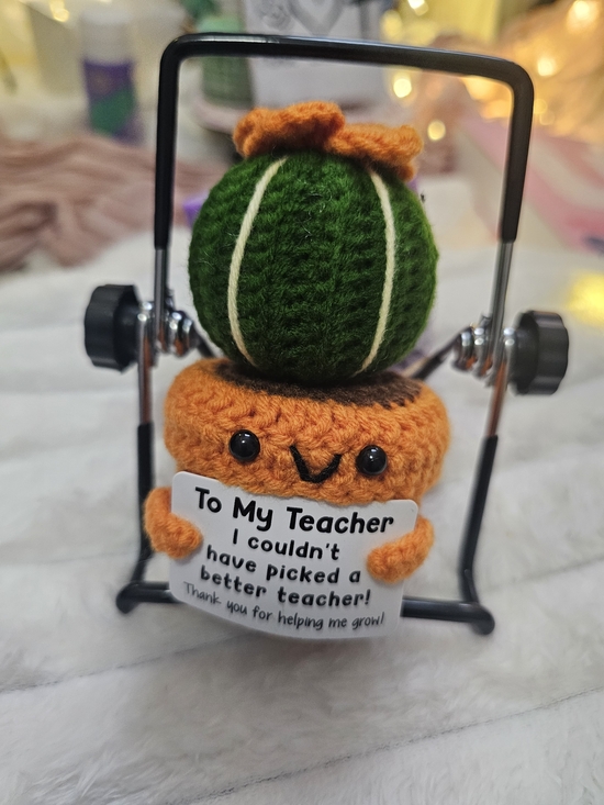 Other - Crochet Cactus Toy - Teacher Gift